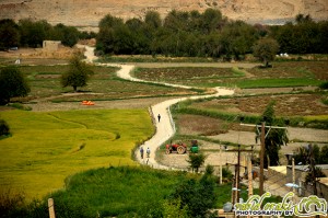 عکس از وحید اورکی