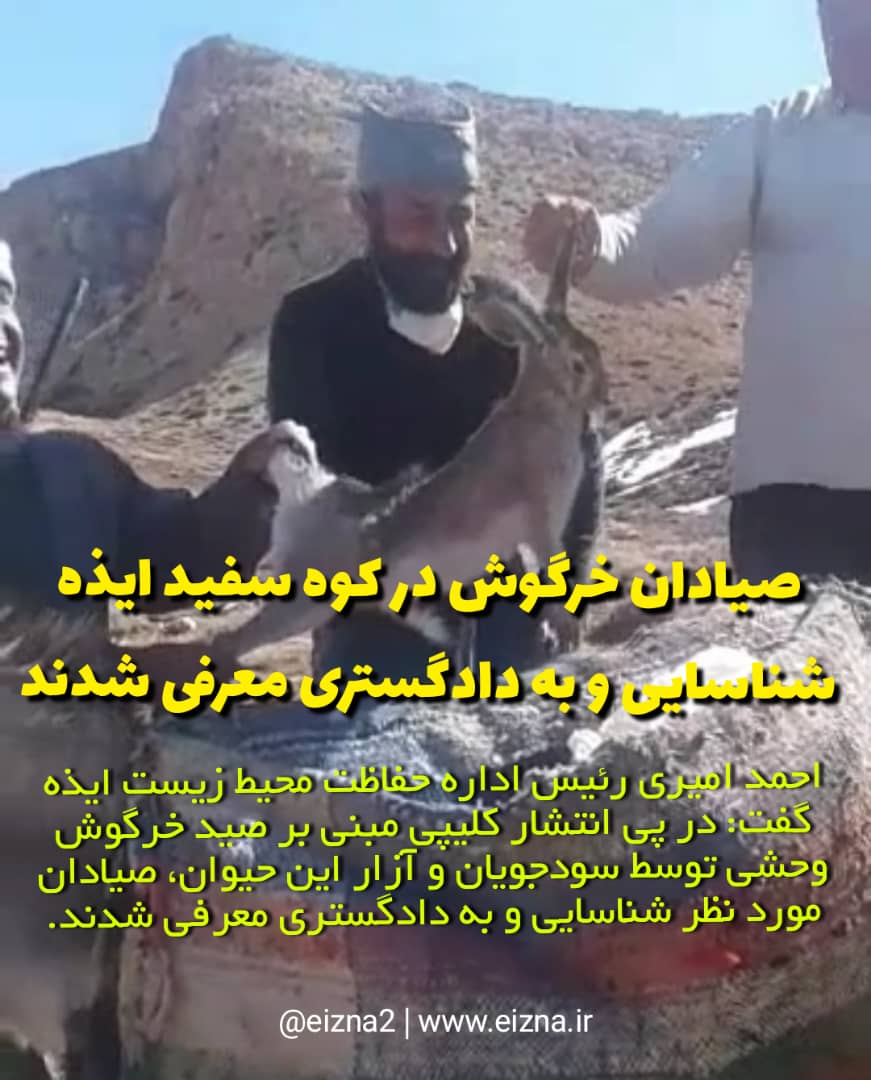 شکارچیان خرگوش در سفیدکوه ایذه