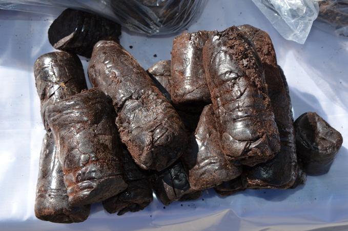 بورلینگتون قوانین جدید جامعه را تنظیم می کند