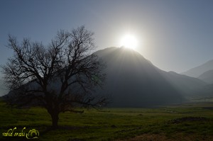 عکس از وحید اورکی