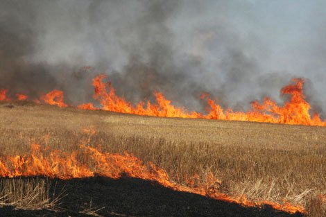 شعله‌های آتش در ارتفاعات بخش سوسن فروکش کرد