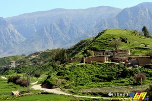 طبیعت زیبای بهاری دشت سوسن در شهرستان ایذه میزبان مهمانان و گردشگران نوروزی