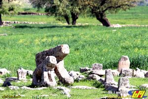 طبیعت زیبای بهاری دشت سوسن در شهرستان ایذه میزبان مهمانان و گردشگران نوروزی