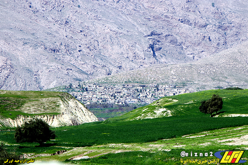 طبیعت زیبای بهاری دشت سوسن در شهرستان ایذه میزبان مهمانان و گردشگران نوروزی