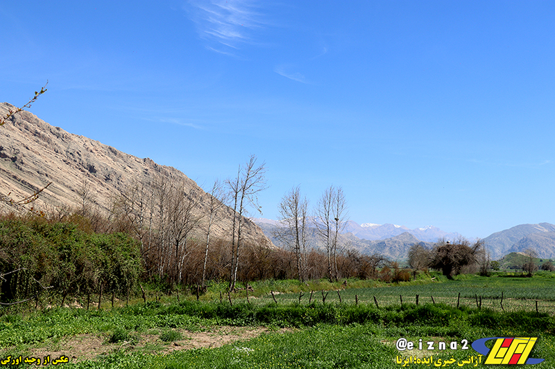 طبیعت زیبای بهاری دشت سوسن در شهرستان ایذه میزبان مهمانان و گردشگران نوروزی