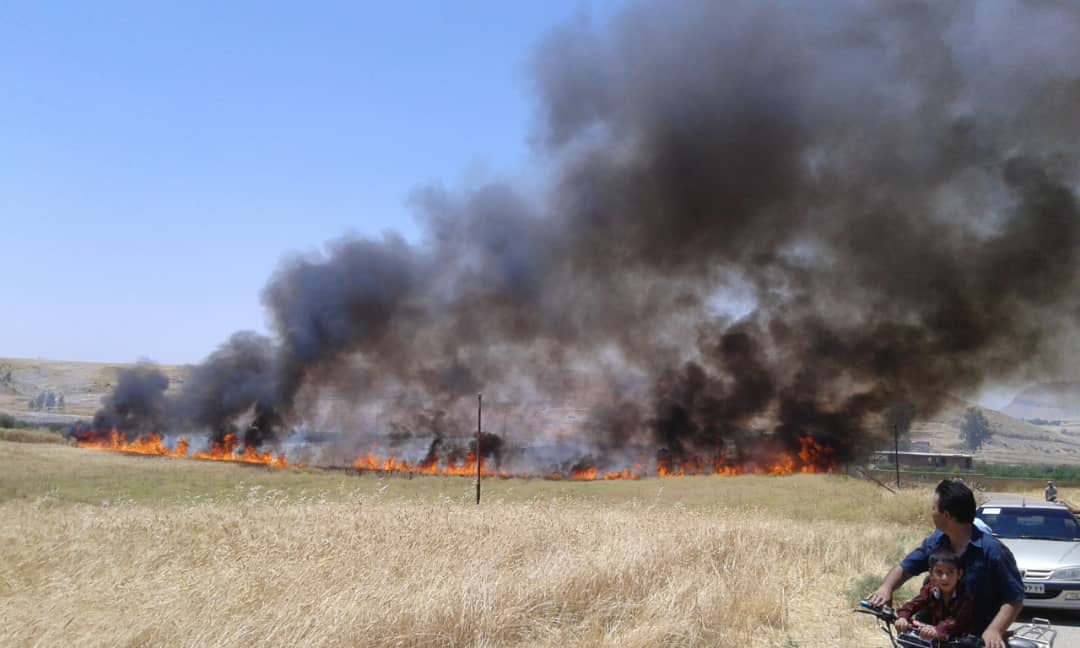 ۷ هکتار از مزارع کشاورزی روستای شهرک طالقانی هلایجان در آتش سوخت