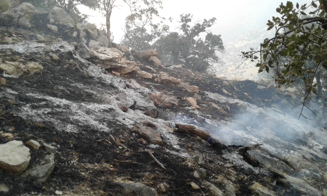 منطقه حفاظت شده کوه گزیر ایذه دچار آتش‌سوزی شد