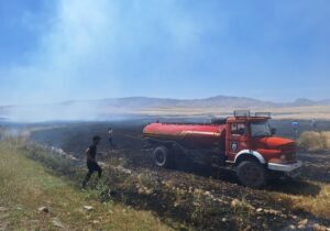 نزدیک به ۴ هکتار از اراضی کشاورزی ایذه طعمه آتش شد