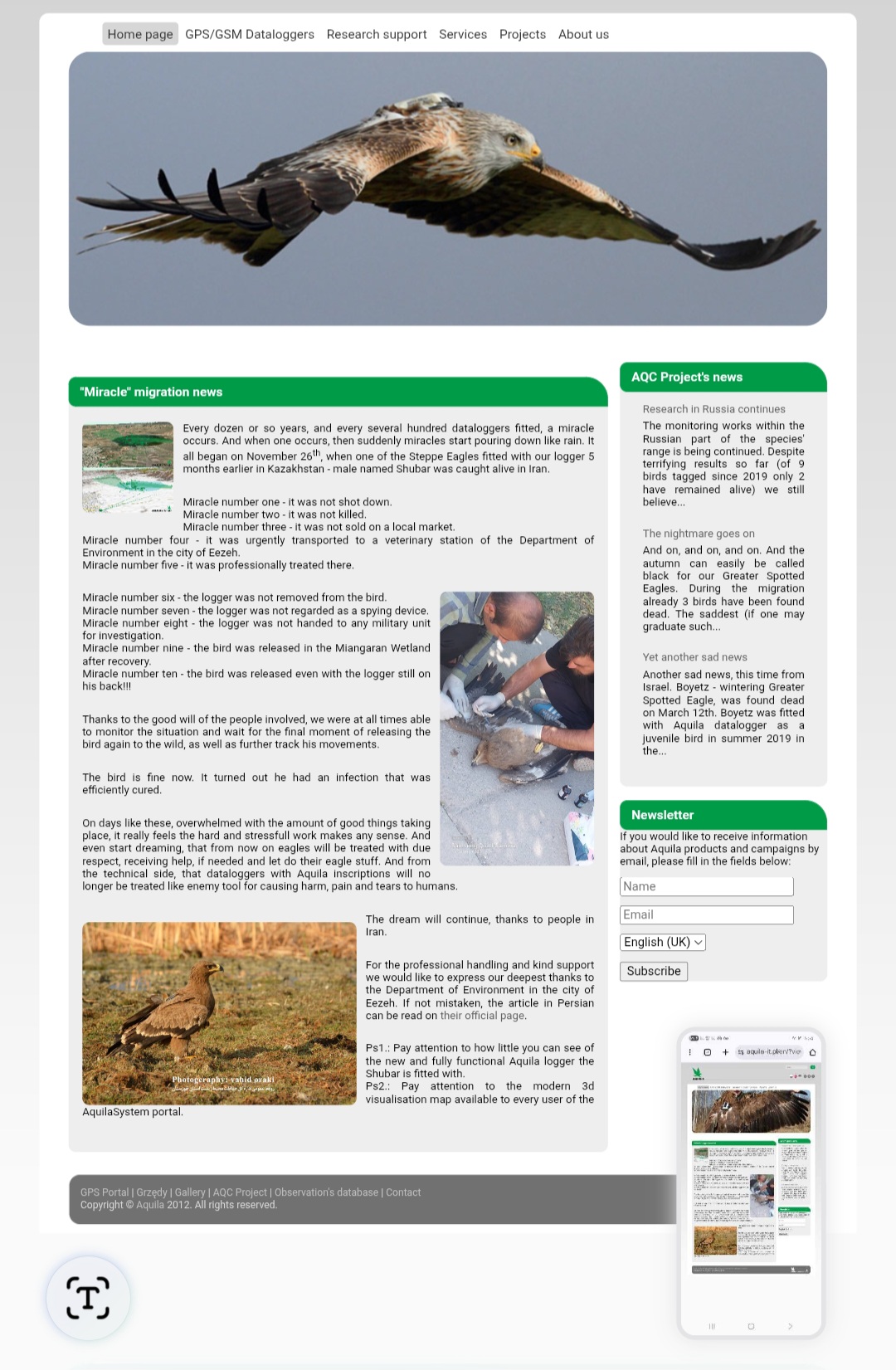 محیط زیست ایذه مورد تقدیر مرکز تحقیقاتی عقاب‌ها در قزاقزستان/بازگشت عقاب تیمار شده در ایذه به آلماتی | عکس: وحید اورکی