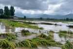 خسارت سیلاب به اراضی کشاورزی و جادههای روستایی بخش سوسن؛ ارزیابی میدانی آغاز شد