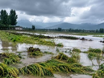 خسارت سیلاب به اراضی کشاورزی و جادههای روستایی بخش سوسن؛ ارزیابی میدانی آغاز شد